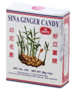 Sina Ginger